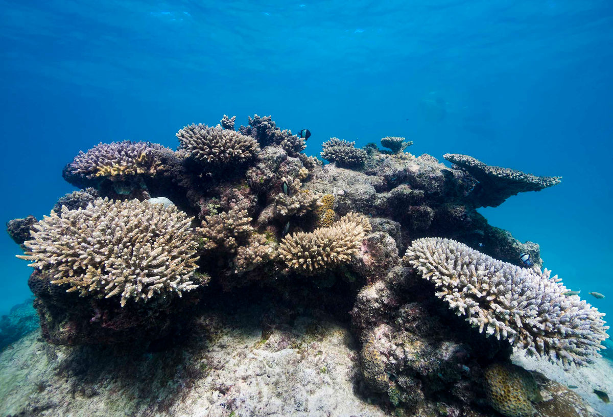 Western Australia photograph 2