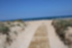 Beach.jpeg