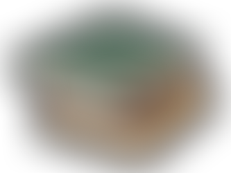 Sof & Fab Jagten på de forsvundne guldmønter