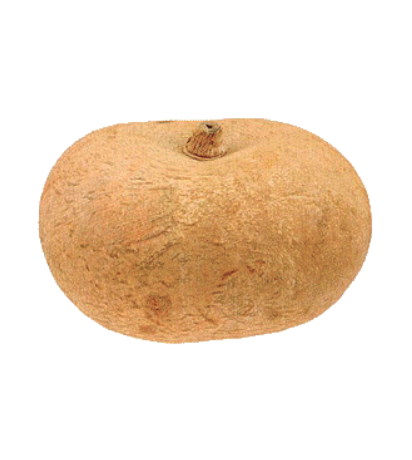 Quintal
