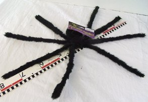 Araignée 15 Fr.