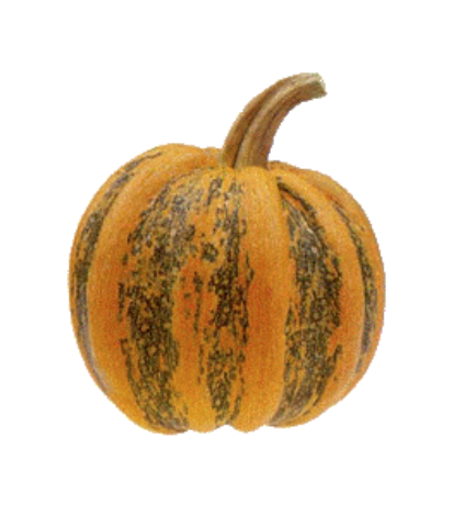 Tonda Padana