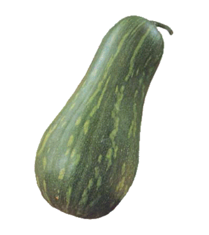 Plaine de Naple