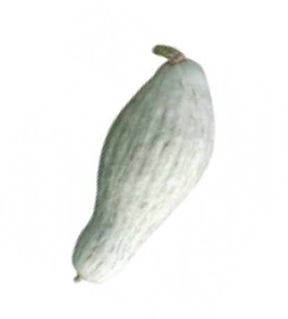 Sybley