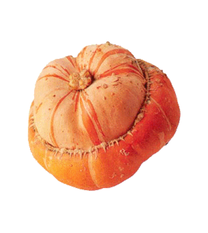 Giraumon Turban