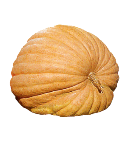 Atlantic Giant