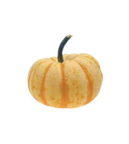 Puccini