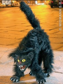 Chat 28 Fr.