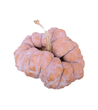 Yuxijangbinggua