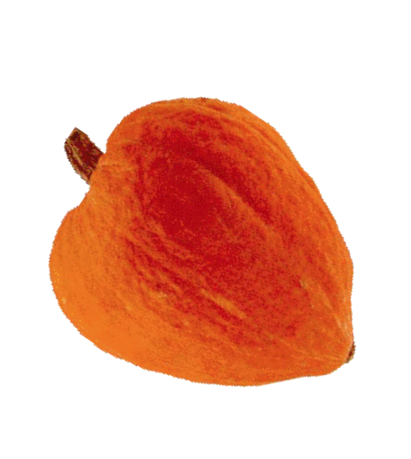 Golden Delicius