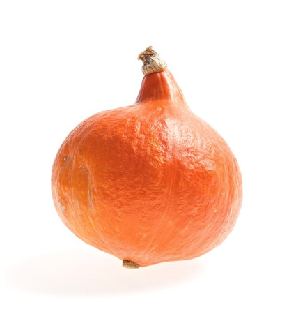 Potimarron
