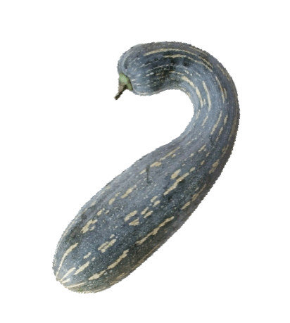 Musquée de Chine