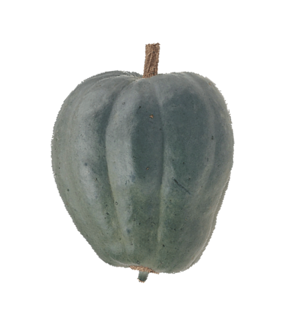 Courge du Pérou