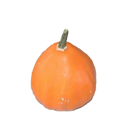 Papaya Pear