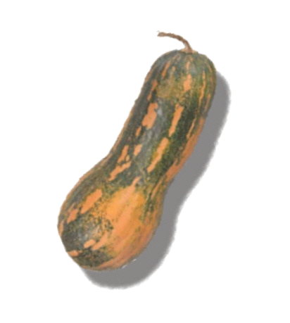 Muscatnaya
