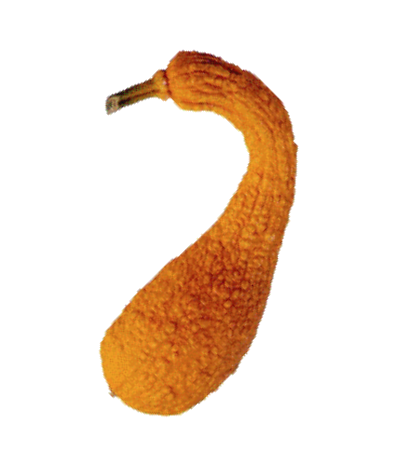 Coutors d'été
