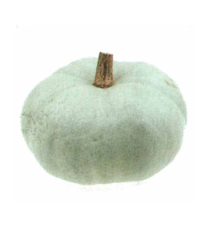 Bleu de Hongrie