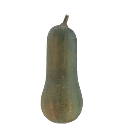 Butternut Orange