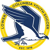 LCYSA_HAWKLOGO.png