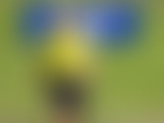 International Series: Unflappable Ham a step closer to Singapore Open title