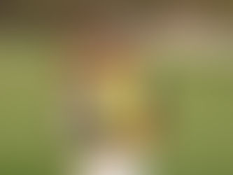 Haotong Li returns to winners circle with emotional Qatar victory