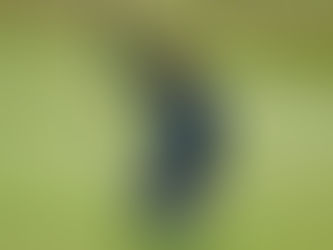 2025 Alfred Dunhill Links: Photos of the Day - Tuesday