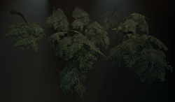 Baked branches built up