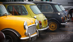 Mini (19).jpg
