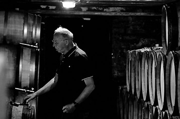 DSC_3151_1176ange2.JPG