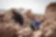 Photo from Paul Odongo_MSF that shows two elderly Afghans surrounded by rubble from earthquake.