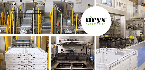 Oryx Automation crate handling machines in fresh produce packing operation