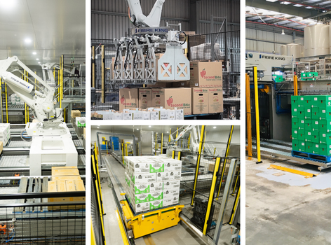 Palletisers and palletising solutions for Australian and New Zealand food and beverage production