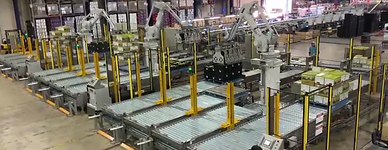 Automated palletising solution in Victorian packhouse handling crates and cartons for fresh produce