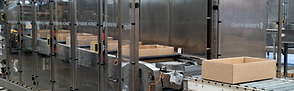Case and tray handling system managing food packaging formats through production line