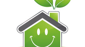 Discovering Eco-Minded: Your Ultimate Sustainable Shopping Destination