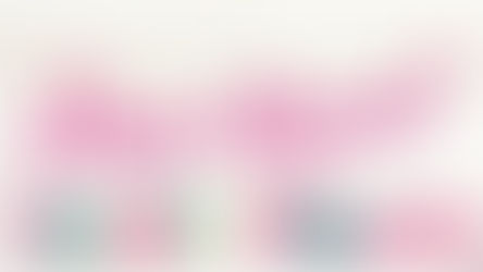 2019 Holiday Gift Guide!