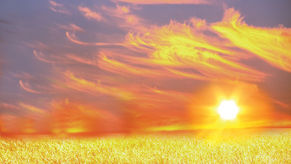 Adrenal Health: A Direct Link to PTSD