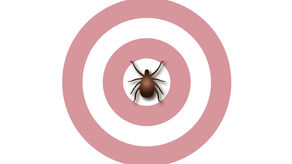 Is Chronic Lyme Disease Real?