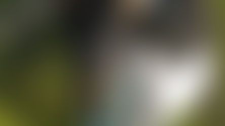 Happy Goats, Great Cheese