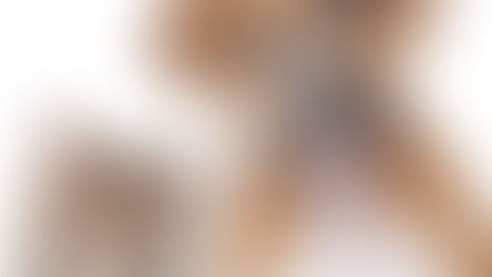 Q & A with a Holistic Vet