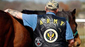It’s All About the Connection: Equine Therapy for Veterans