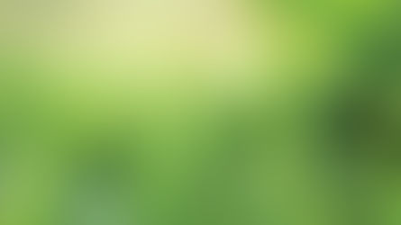 The Root of the Issue