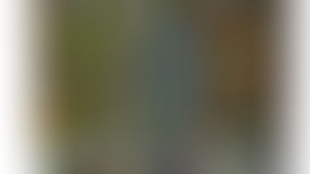 Sacred Blossom Farm – “Yep. We’re a Real Farm.”