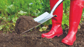 The Science of Happy Gardening