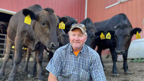 Fresh, Premium Beef from DZ Wagyu
