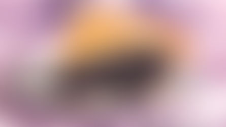 Mandy’s Blueberry Pie