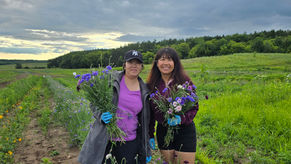Maiv Flower Farm: A Blossoming Dream in Wheaton