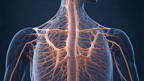 Bone-on-Bone, Bulging Discs, and Arthritis