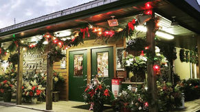Pleasant Valley Tree Farm – Your One-Stop Shop for the Holidays