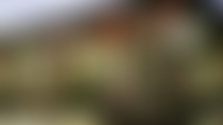 Pleasant Valley Tree Farm – Your One-Stop Shop for the Holidays